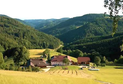Das Haus